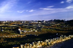 Les murets des champs de tourbe