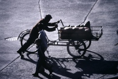 Compione