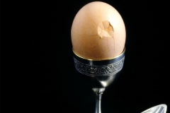 L'oeuf sans la poule