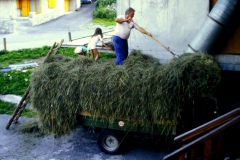 Compione